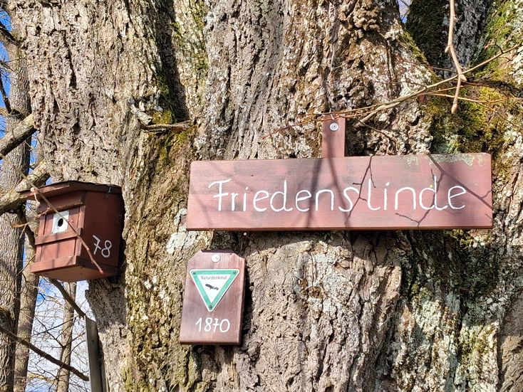 20260312_101554frieden.jpg