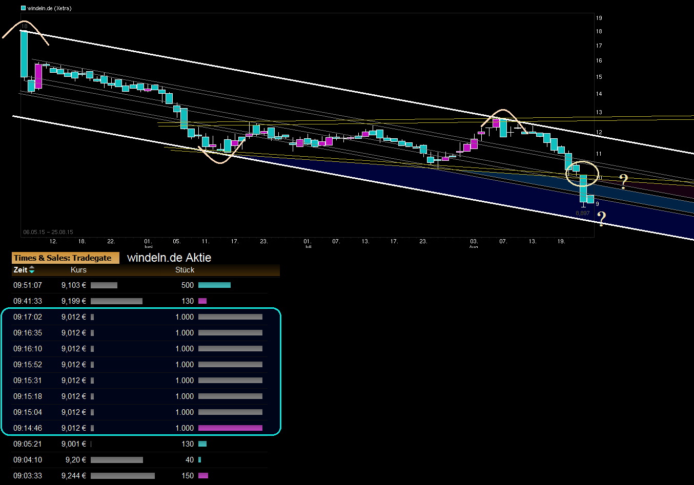 chart_year_windelnde---.png